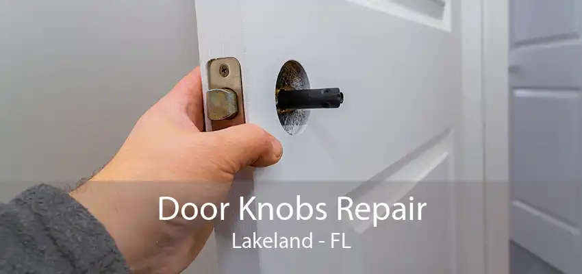 Door Knobs Repair Lakeland - FL